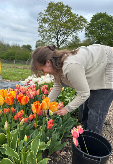 Pick-Your-Own Flowers Experience