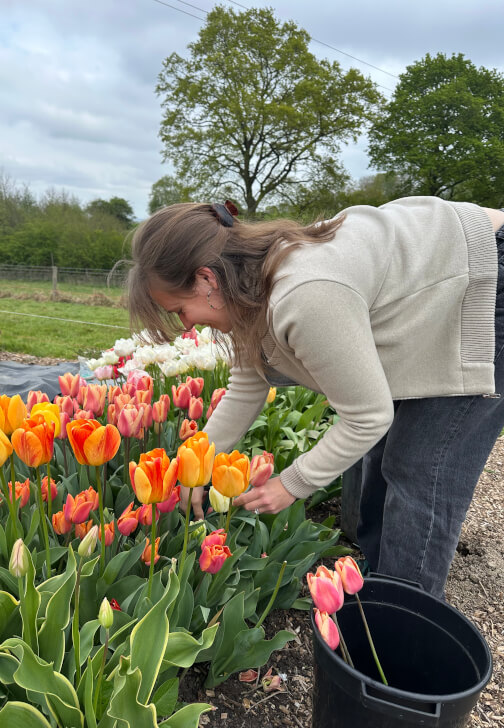 Pick-Your-Own Flowers Experience