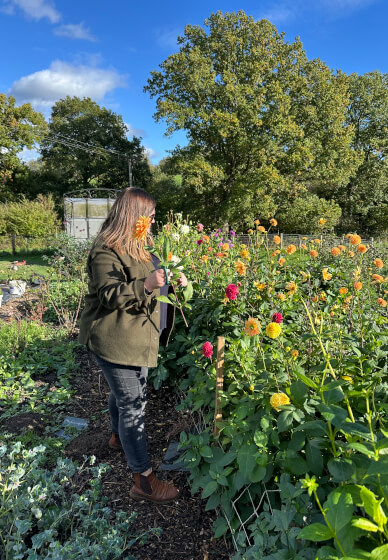 Pick-Your-Own Flowers Experience