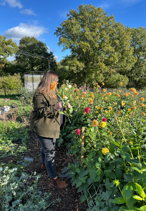 Pick-Your-Own Flowers Experience