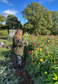 Pick-Your-Own Flowers Experience