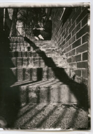 Pinhole Photography Family Workshop