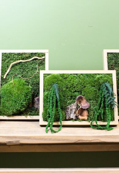 Preserved Moss Art Workshop