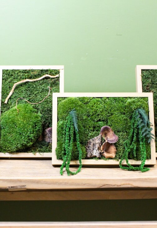 Preserved Moss Art Workshop