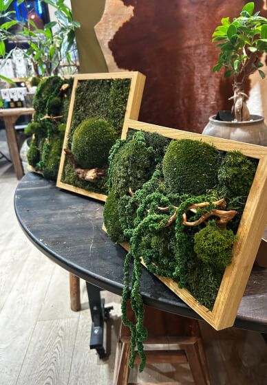 Preserved Moss Art Workshop