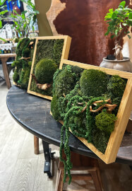 Preserved Moss Art Workshop