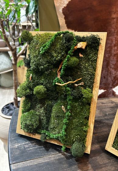 Participants creating preserved moss art during a guided moss frame workshop
