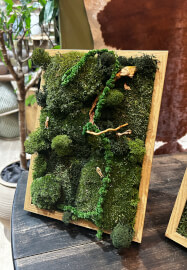 Preserved Moss Art Workshop