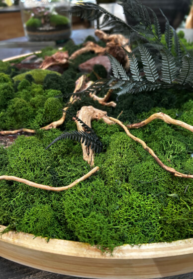 Preserved Moss Art Workshop