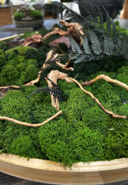 Preserved Moss Art Workshop