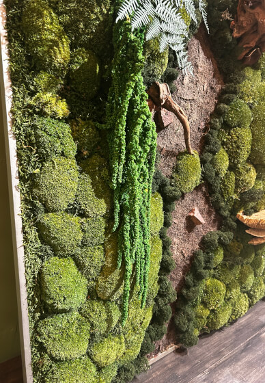 Preserved Moss Art Workshop