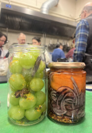 Preserving and Fermenting Masterclass