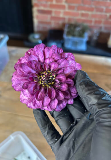 Preserving Flowers in Resin Class: Bouquet Preservation Skills
