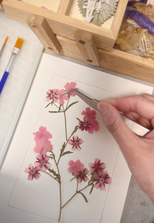 Pressed Botanical Frame Making Workshop
