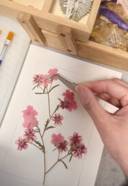 Pressed Botanical Frame Making Workshop