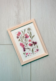 Pressed Botanical Frame Making Workshop
