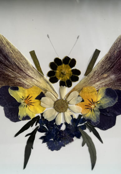Pressed Flower Art Class with Flower Patch Tour
