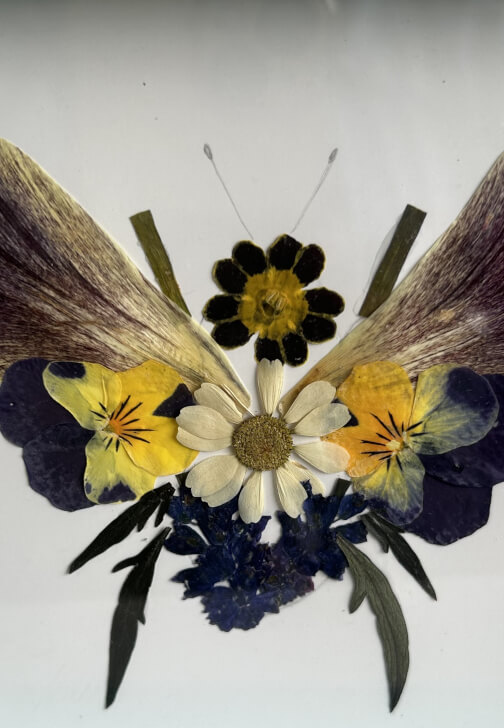 Pressed Flower Art Class with Flower Patch Tour