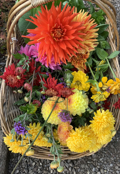 Pressed Flower Art Class with Flower Patch Tour