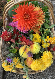 Pressed Flower Art Class with Flower Patch Tour