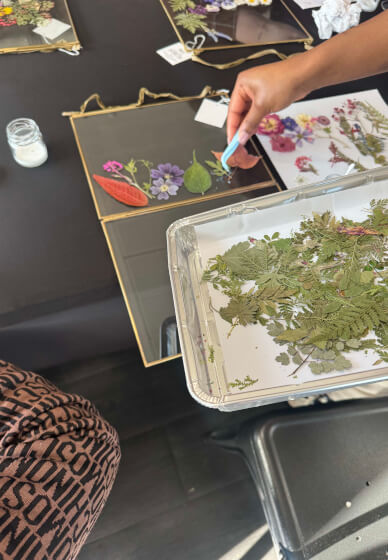 Pressed Flower Frames Pictures Workshop