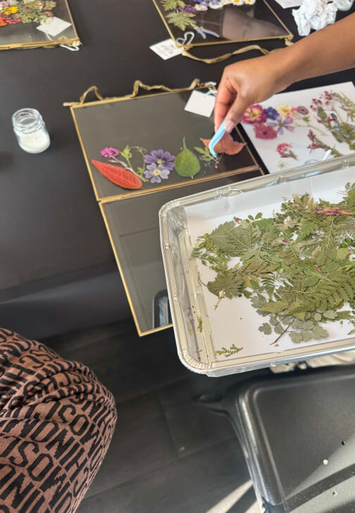Pressed Flower Frames Pictures Workshop