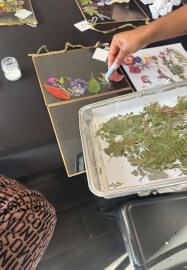 Pressed Flower Frames Pictures Workshop