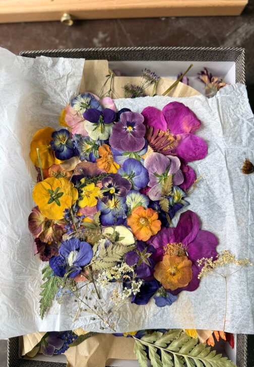 Pressed Flower Workshop