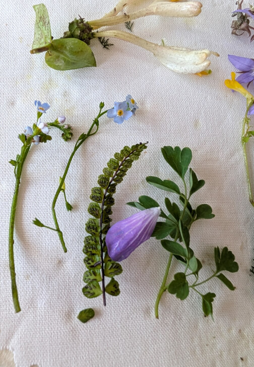 Pressed Wildflowers Eco-Resin Bubble Dish Workshop