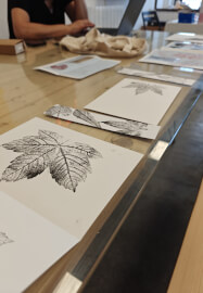 Printing with Nature Workshop