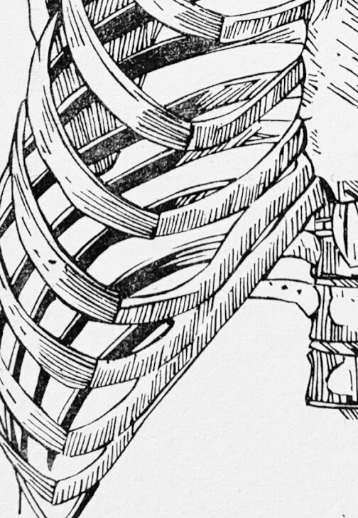 Printmaking Workshop: Hand-Carved Rubber Stamps