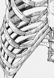 Printmaking Workshop: Hand-Carved Rubber Stamps