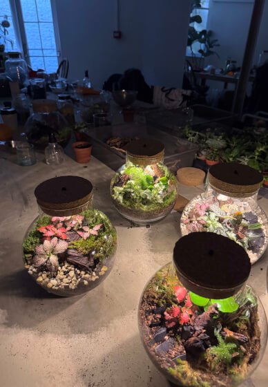 Private Terrarium Workshop Party