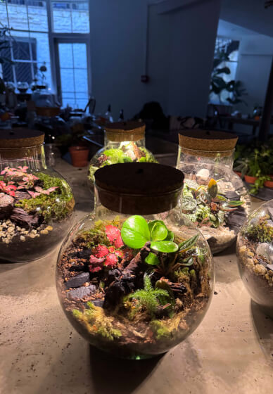 Private Terrarium Workshop Party
