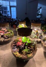 Private Terrarium Workshop Party