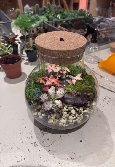 Private Terrarium Workshop Party