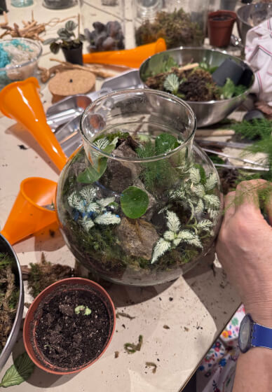 Private Terrarium Workshop Party
