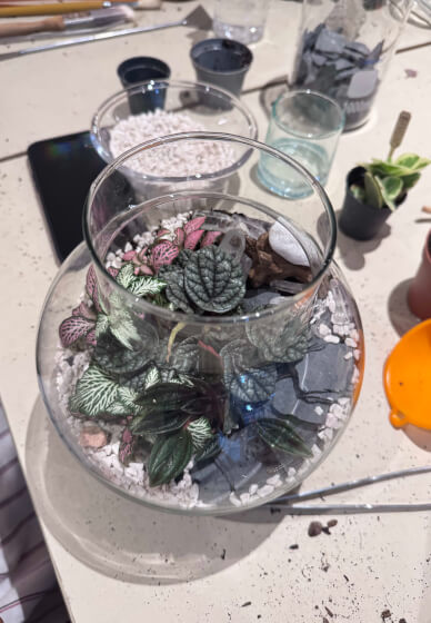 Private Terrarium Workshop Party