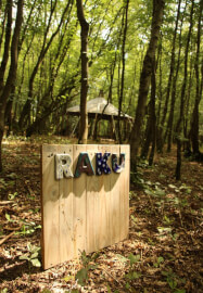 Raku Pottery Workshop in the Woods