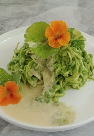 Raw Living Food Experience