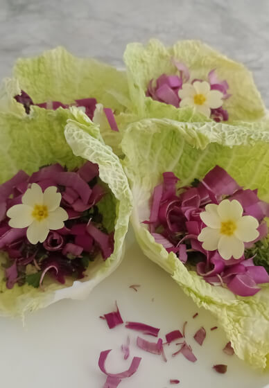Raw Living Food Experience
