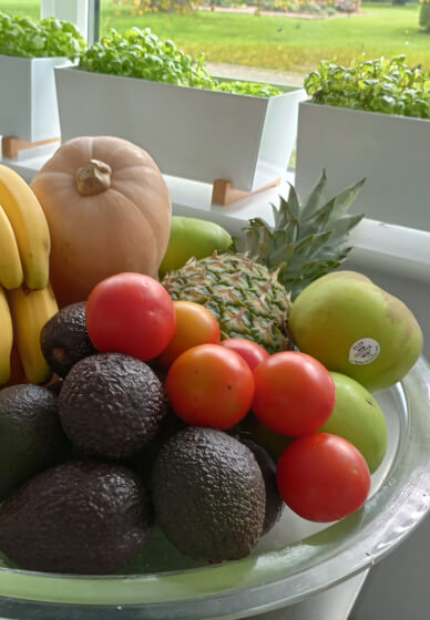 Raw Living Food Experience