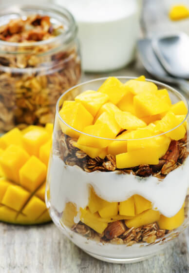 Raw Living Food Experience