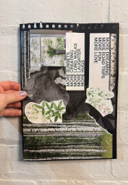 Relaxing Collage Experience