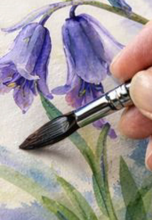 Saturday Watercolour Pencil Art Workshop