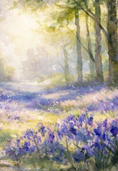 Saturday Watercolour Pencil Art Workshop