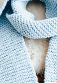 Scarf Knitting Course