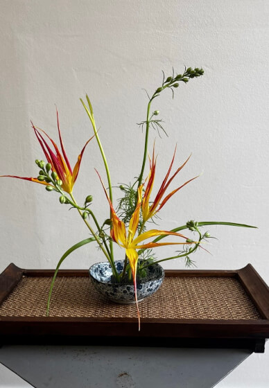 Seasonal Ikebana Flower Arranging Workshop