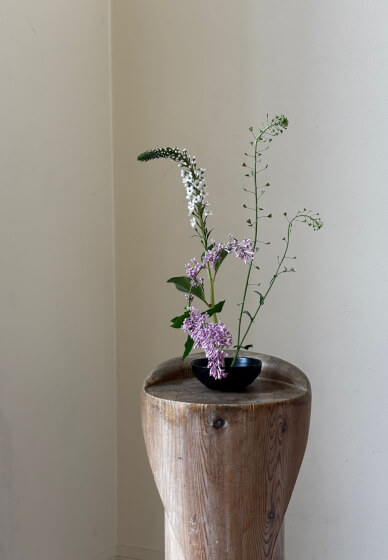 Seasonal Ikebana Flower Arranging Workshop