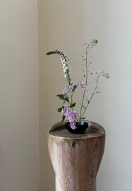 Seasonal Ikebana Flower Arranging Workshop